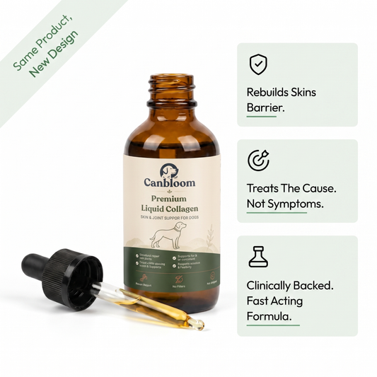 Canbloom Premium Liquid Collagen