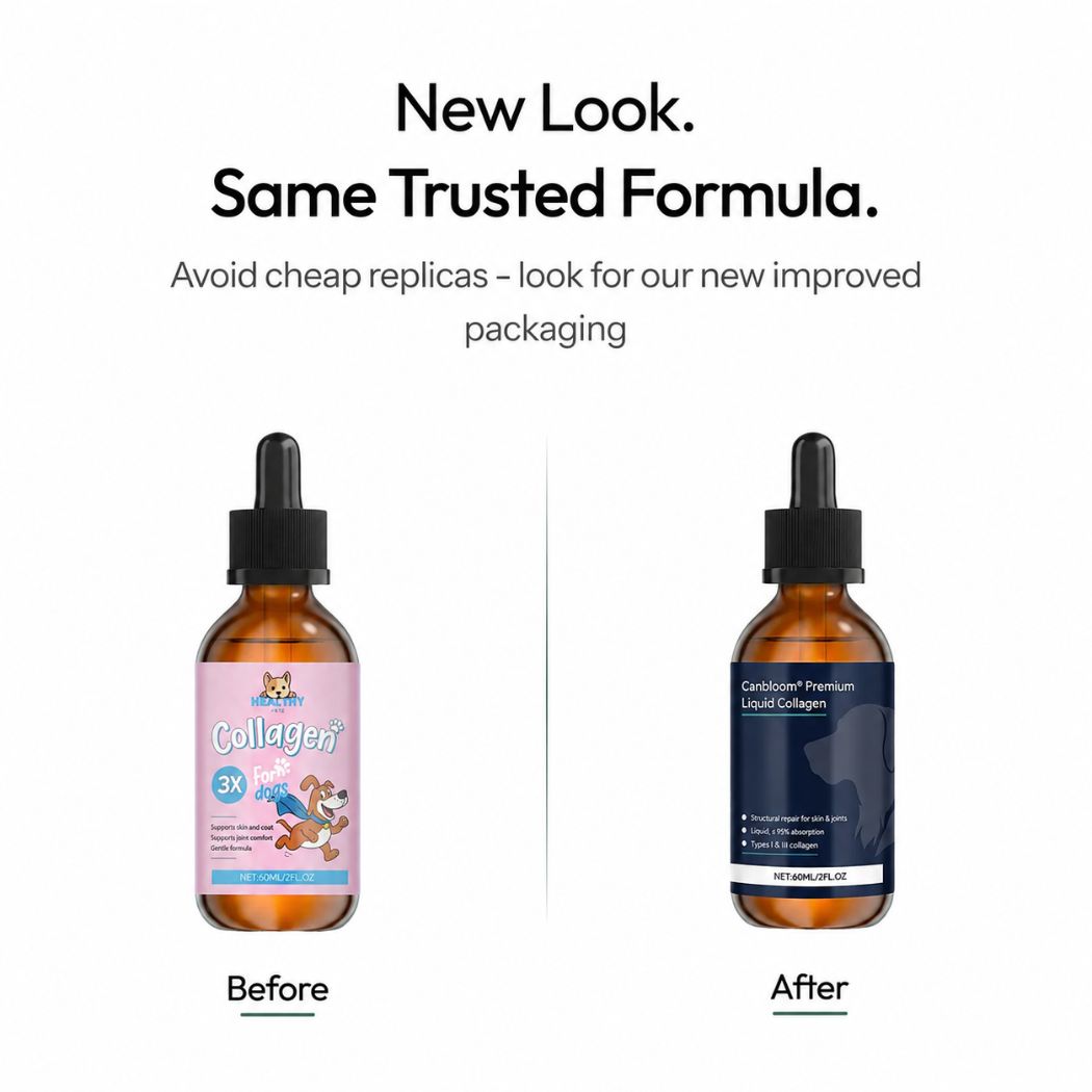 Canbloom Premium Liquid Collagen - Hip & Joints