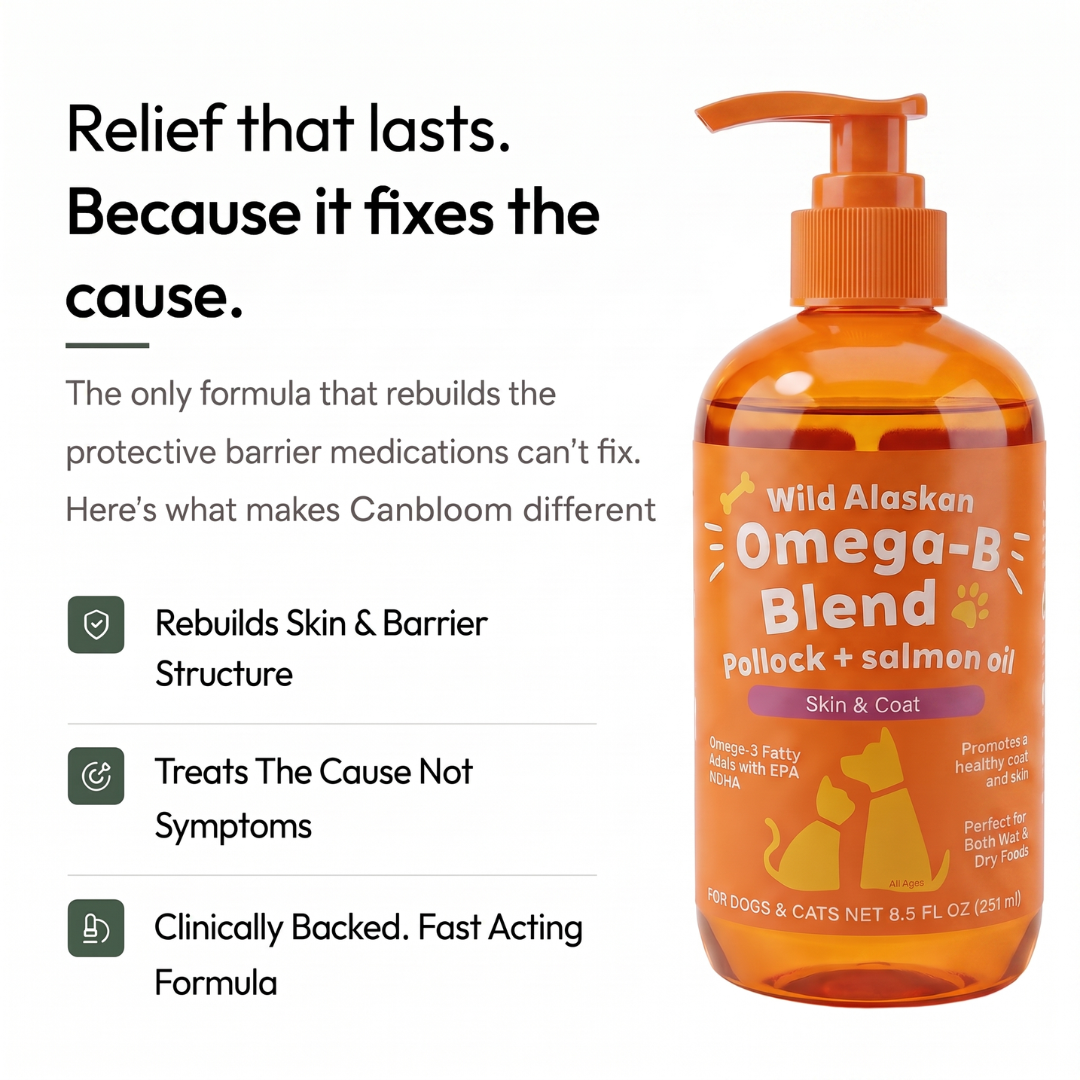 Canbloom Wild Alaskan Salmon Oil