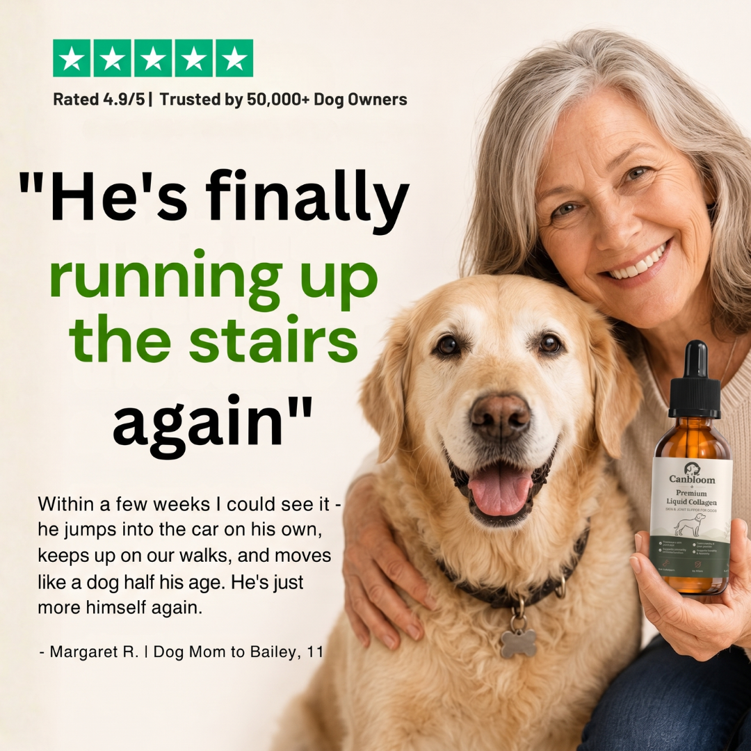 Canbloom Premium Liquid Collagen - Hip & Joints