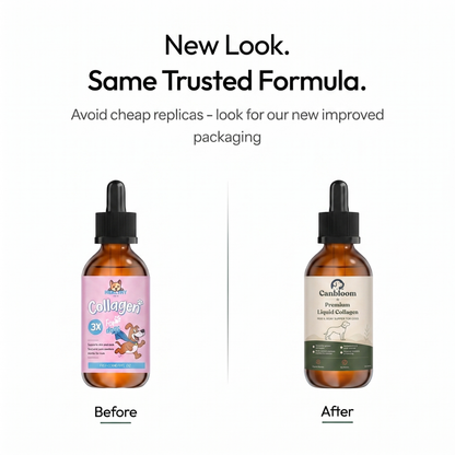 Canbloom Premium Liquid Collagen