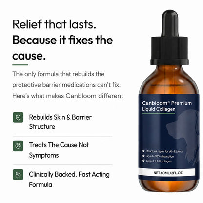 Canbloom Premium Liquid Collagen - Hip & Joints