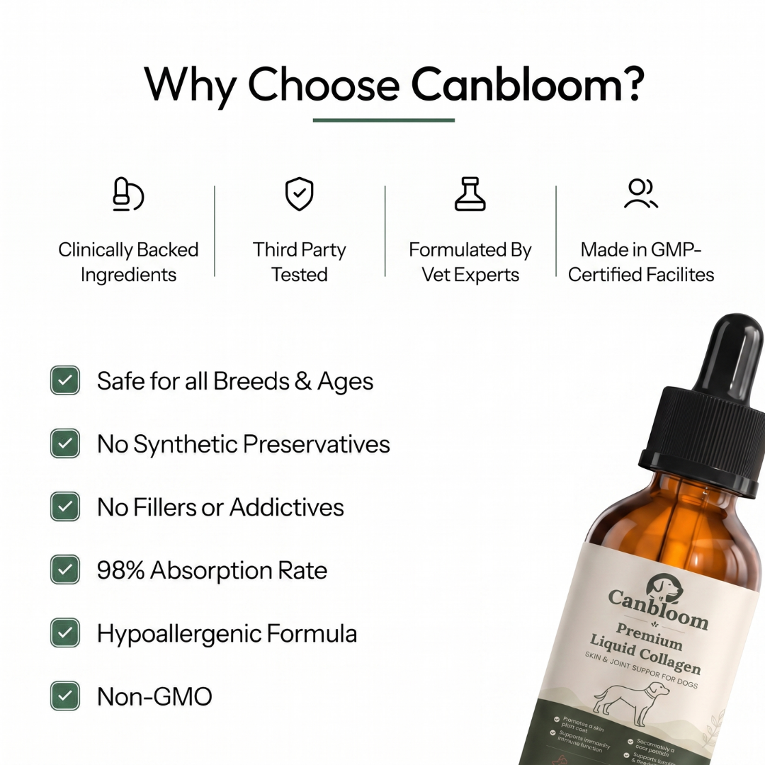 Canbloom Premium Liquid Collagen - Hip & Joints