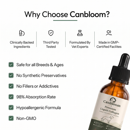 Canbloom Premium Liquid Collagen - Hip & Joints