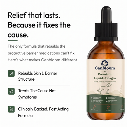 Canbloom Premium Liquid Collagen