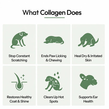 Canbloom Premium Liquid Collagen - Hip & Joints