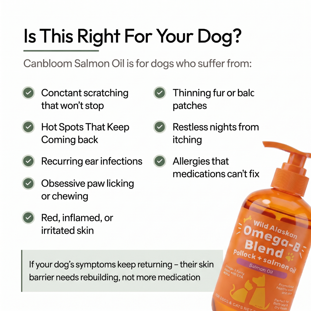 Canbloom Wild Alaskan Salmon Oil