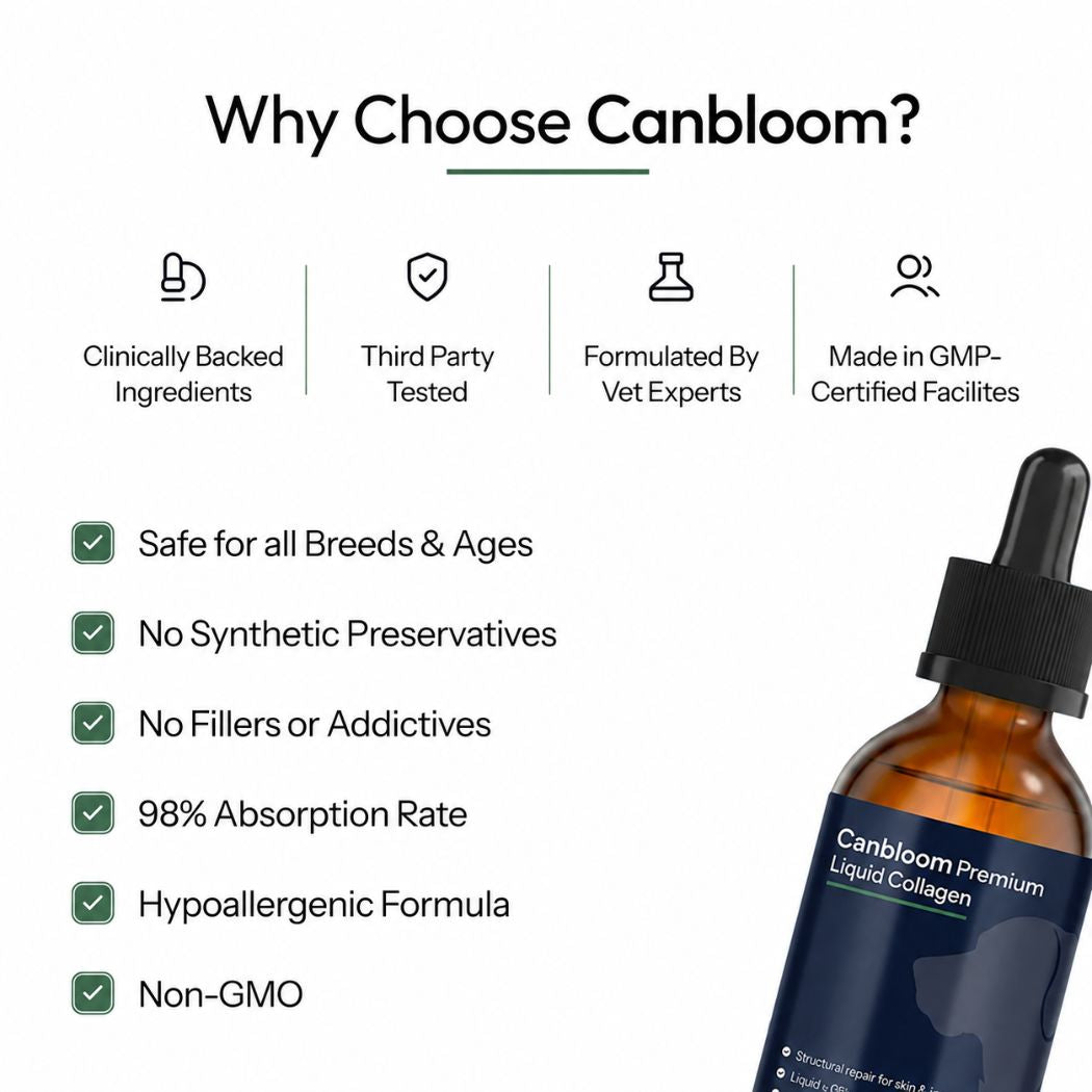 Canbloom Premium Liquid Collagen - Hip & Joints