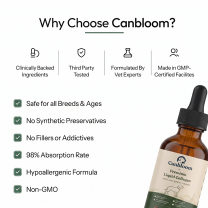 Canbloom Premium Liquid Collagen