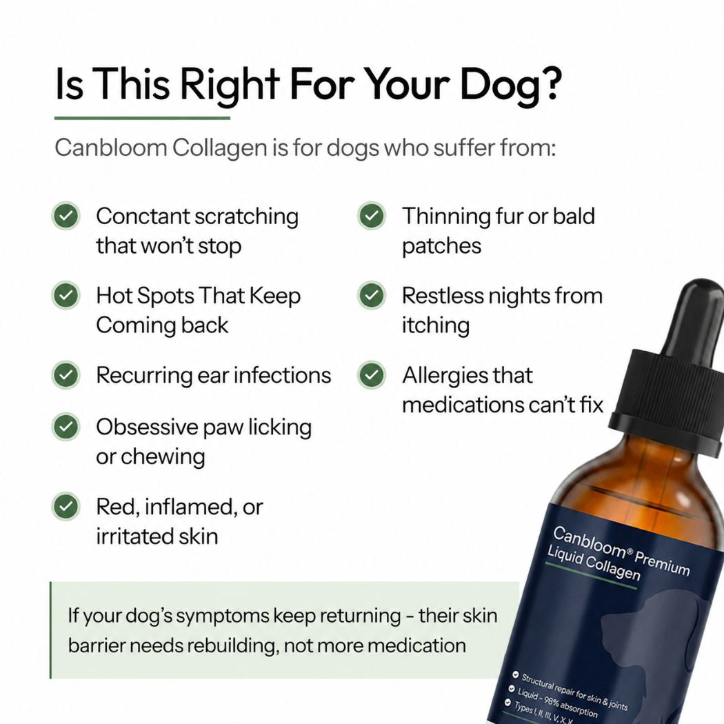 Canbloom Premium Liquid Collagen - Hip & Joints