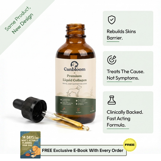 Canbloom Premium Liquid Collagen  - 1+1 FREE