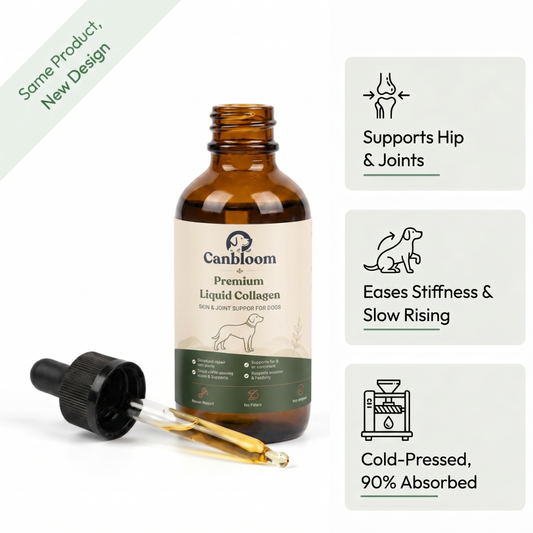 Canbloom Premium Liquid Collagen - Hip & Joints
