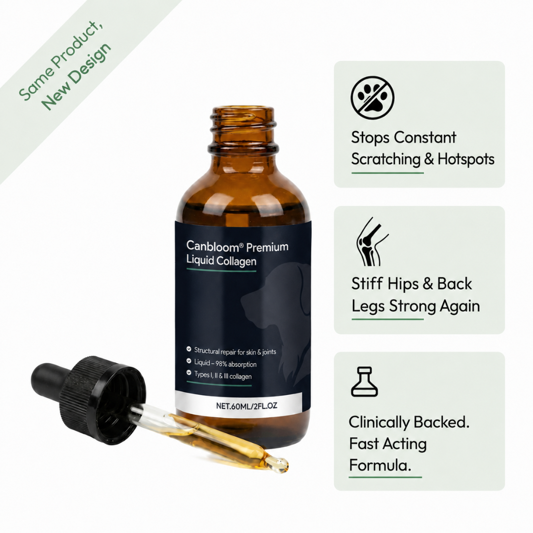 Canbloom Premium Liquid Collagen - Hip & Joints
