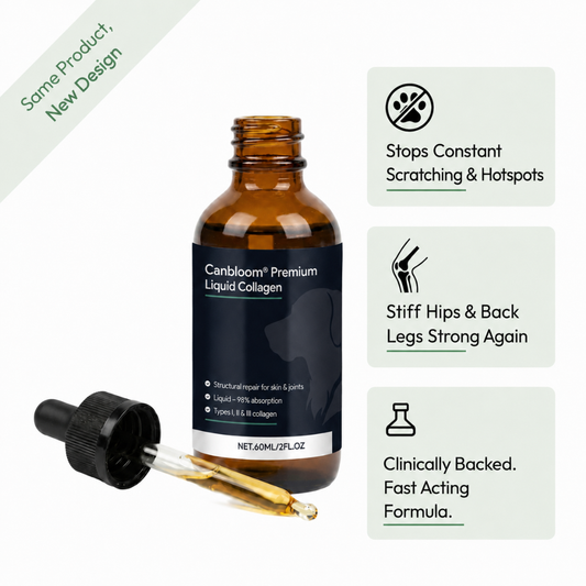 Canbloom Premium Liquid Collagen - Hip & Joints