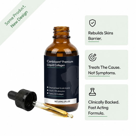 Canbloom Premium Liquid Collagen