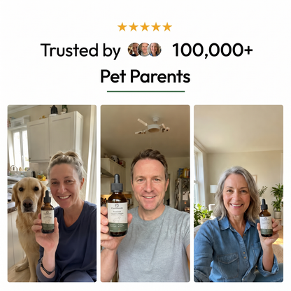 Canbloom Premium Liquid Collagen
